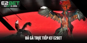  Đá Gà Trực Tiếp ICF E2BET