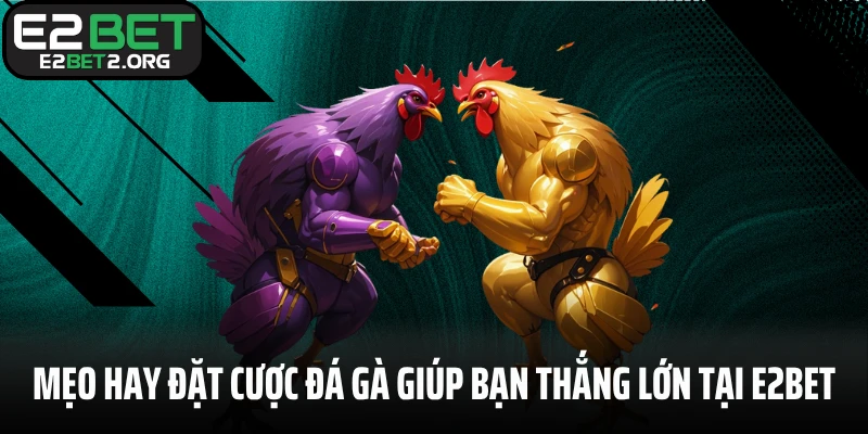 Mẹo hay đặt cược đá gà giúp bạn thắng lớn tại E2BET