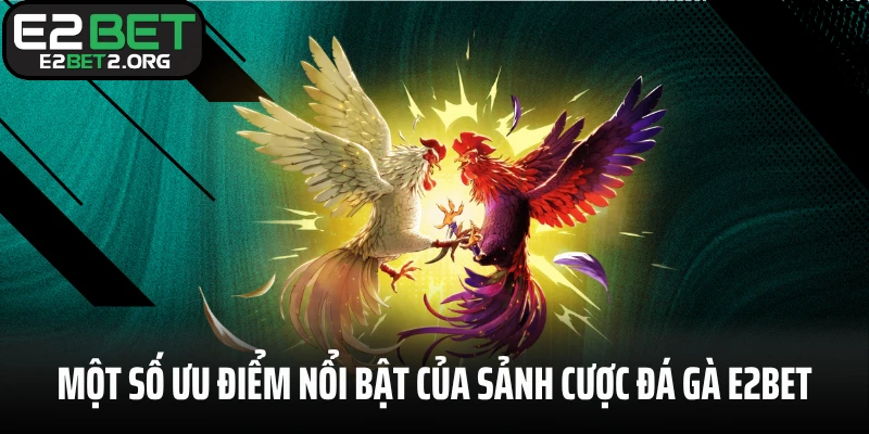Một số ưu điểm nổi bật của sảnh cược đá gà E2BET